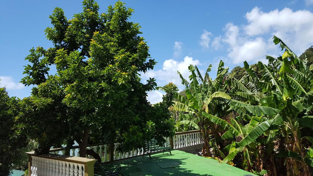 Апартаменты Hibiscus House Seychelles Self Catering Виктория Экстерьер фото