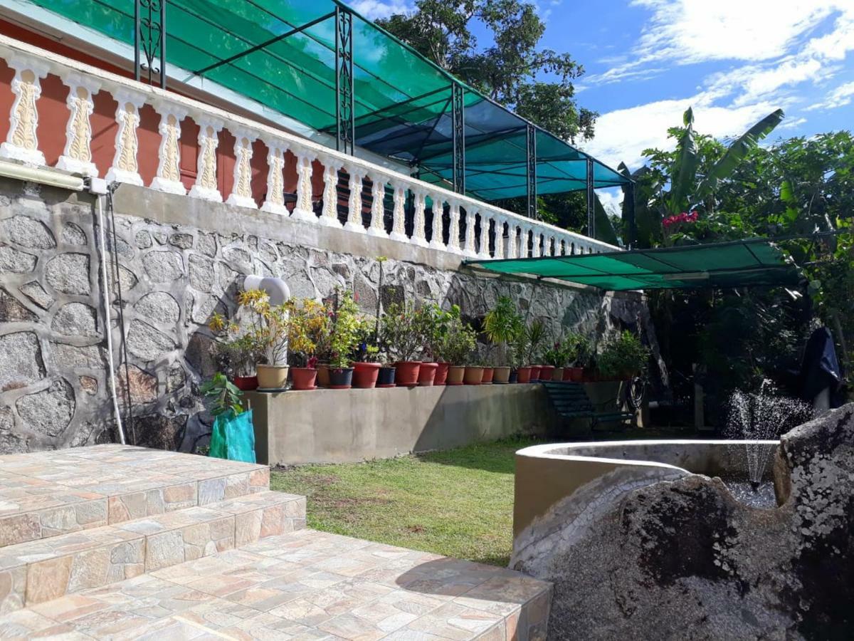 Апартаменты Hibiscus House Seychelles Self Catering Виктория Экстерьер фото